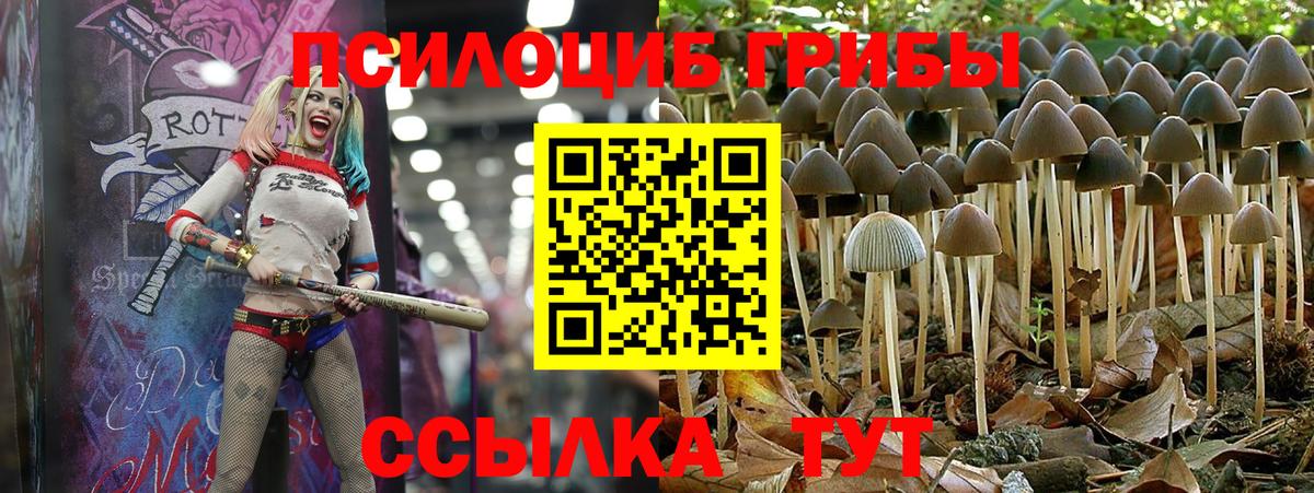 Галлюциногенные грибы MAGIC MUSHROOMS  Вход с VPN  Костомукша 