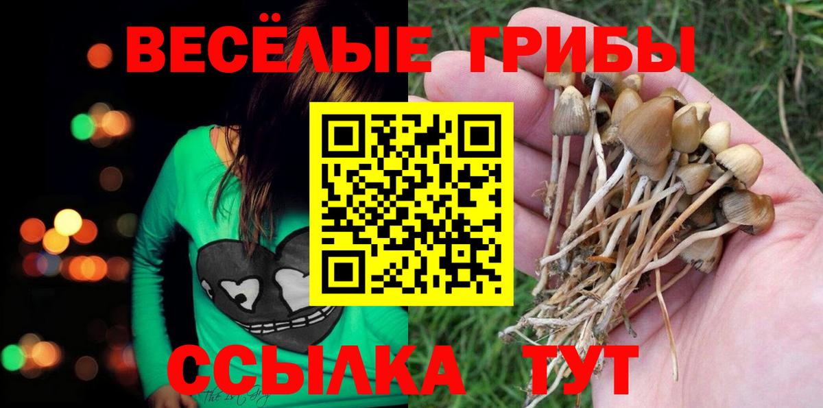 Псилоцибиновые грибы GOLDEN TEACHER Костомукша
